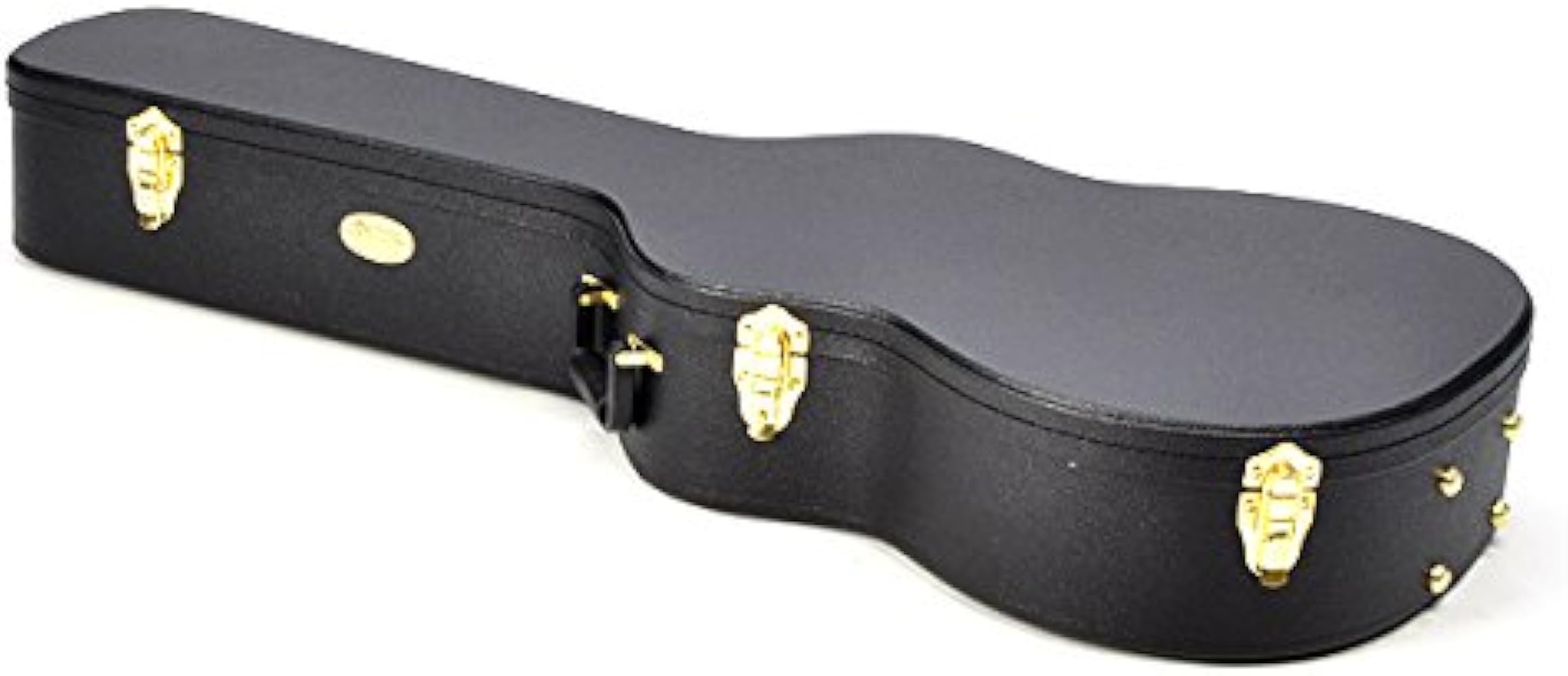 エ*ィ様 Martin & Co. dxm マーチン ギター ハードケース付き エ*ィ