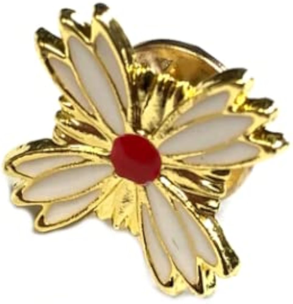 Amazon.co.jp: 安心の国内発送！レプリカ 検察官・検事バッジ