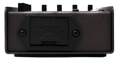 Amazon | L.R.Baggs (エルアールバックス) アコースティックギター用