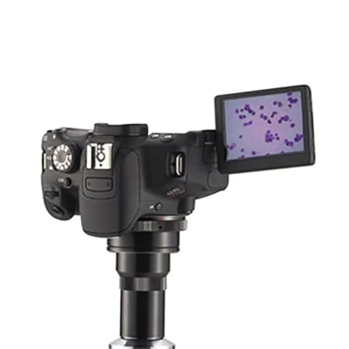 デジタル一眼カメラ eos kiss x10i」の人気商品一覧 | 安い商品を通販