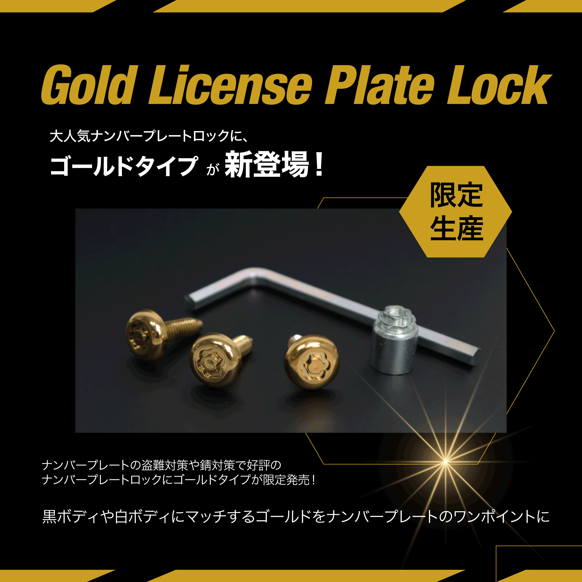 盗難防止対策ゴールドナンバープレートロックボルト限定発売 | McGard