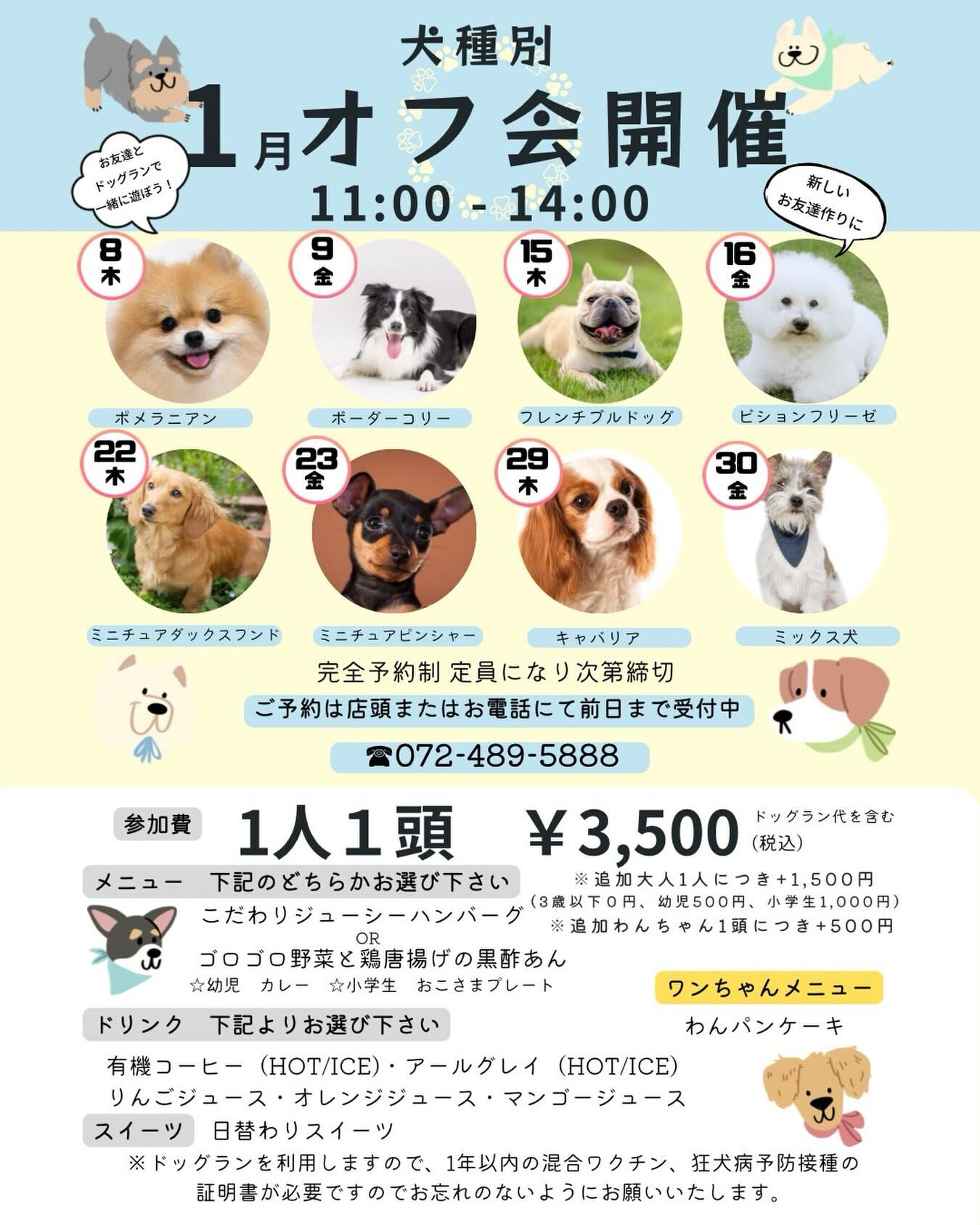 ⭐️犬種別オフ会開催します⭐️ | ブログ | 貝塚市のカフェならmame café