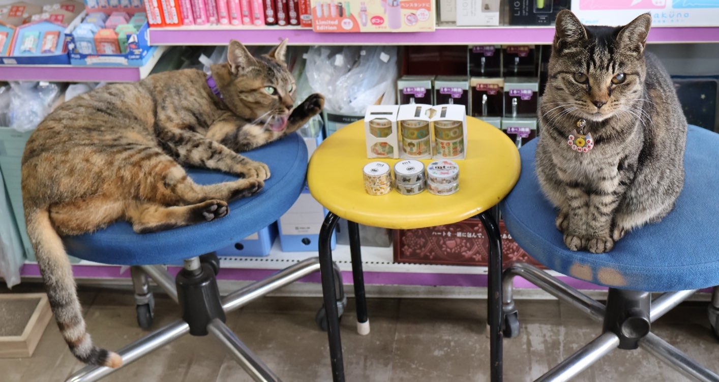 カモ井加工紙 マスキングテープ100周年記念mizutamaセット | 万年堂