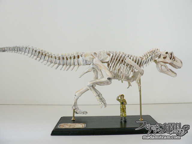 私の恐竜骨格標本コレクション・巨匠荒木一成氏のリアルプラモデル