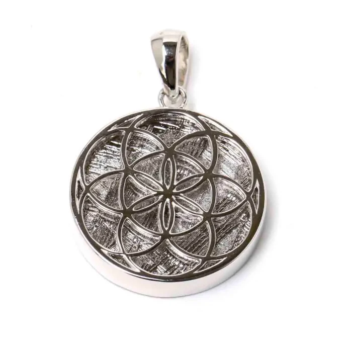 宇宙からの贈り物 メテオライトのペンダントトップ - 石の音ブログ