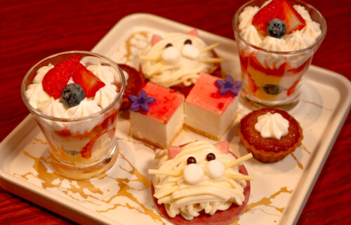 ハリー・ポッター スタジオツアー東京「アンブリッジ教授の