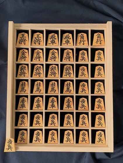 将棋 未使用 天竜 御蔵島ツゲ 根杢 盛り上げ駒 「菱湖」 【価格応談