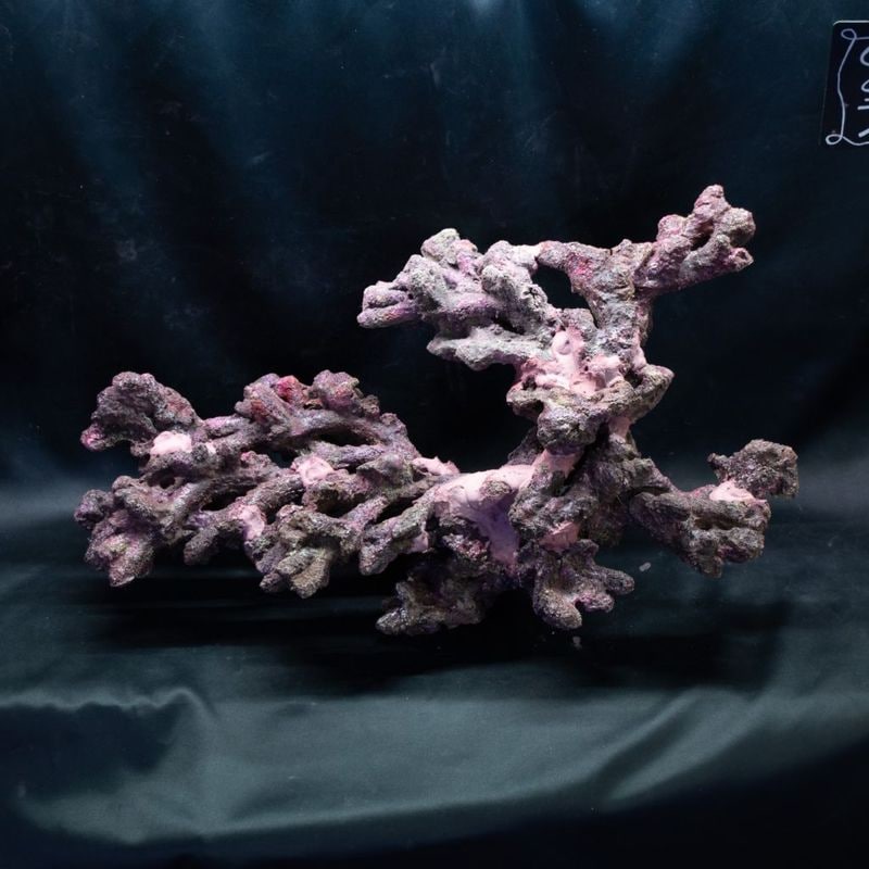 人工ライブロック | Aquarium TALLMAN