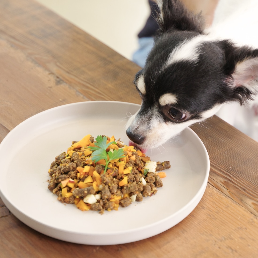 鹿肉60%ドライフード | ドライフード | TASHIKA