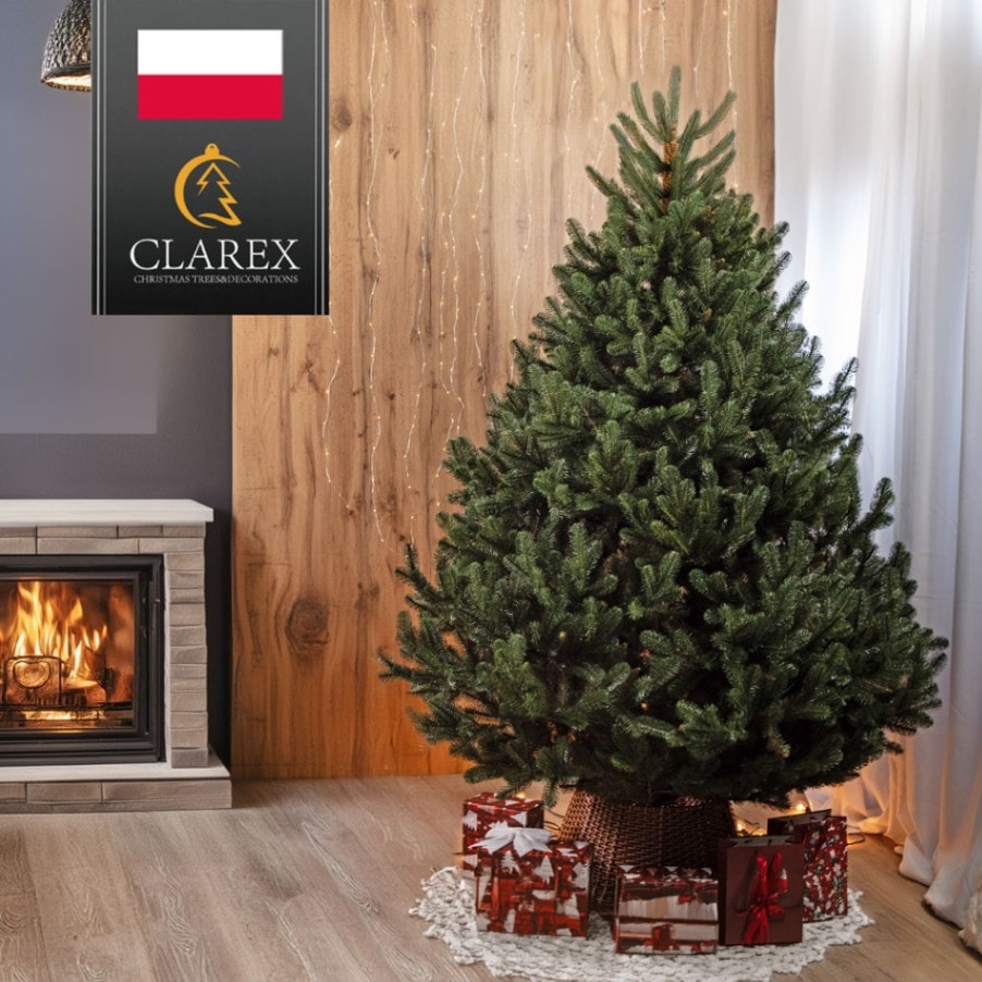 CLAREX SOSNA (クラレックス ソスナ) ポーランド製 高級 クリスマス