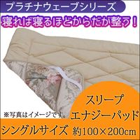 マル美です！！ プラチナウェーブS 肌掛けカバー 楽天市場】プラチナ