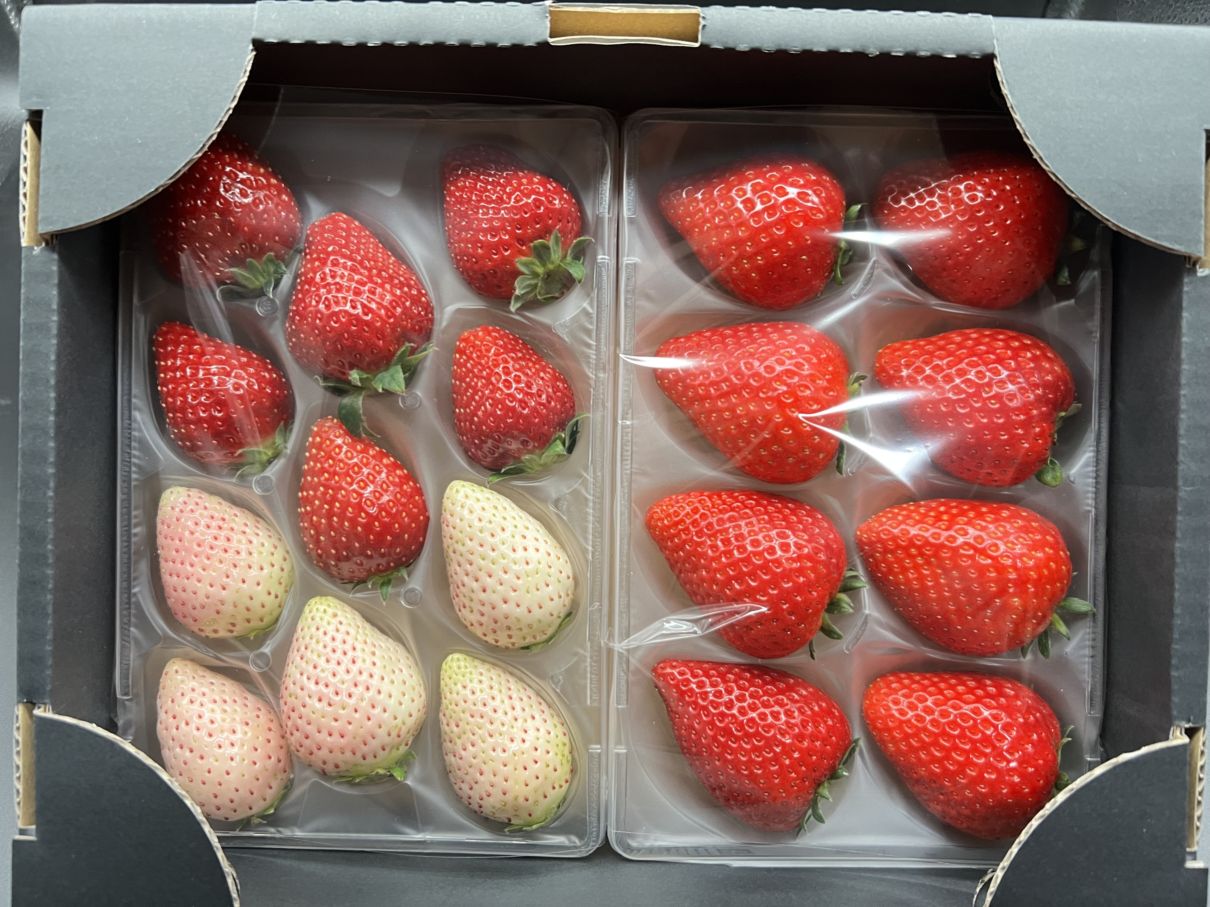 ♡かわいやいちご♡2点セット とちあいか（2パック入）2箱 | 長谷川いちご園｜産直通販「あるよ