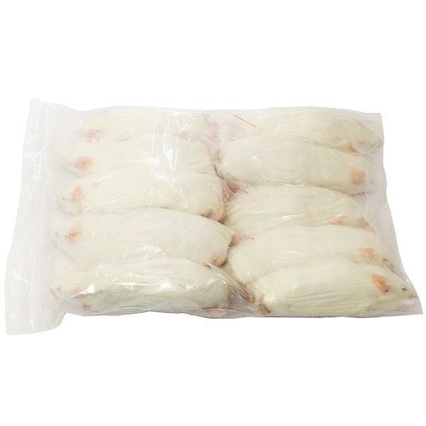 冷凍 リタイアマウス 50匹 | TOPCREATE