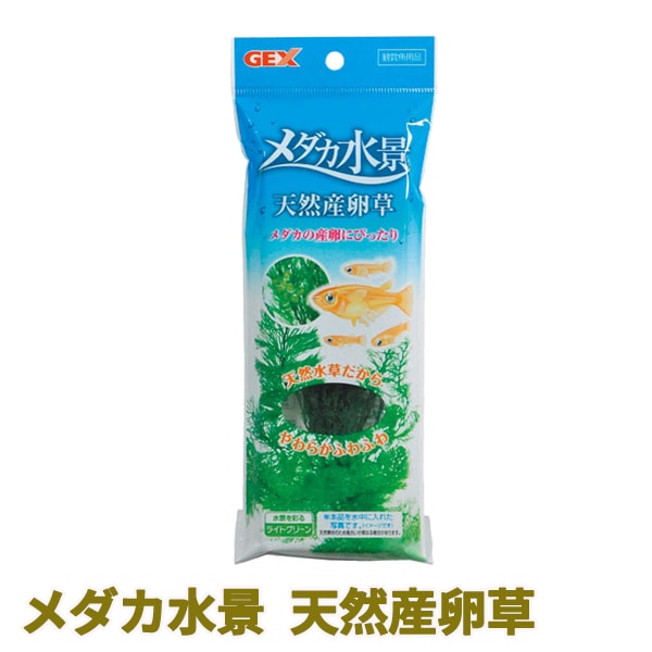 水草セット 14 GEX(ジェックス) | TOPCREATE