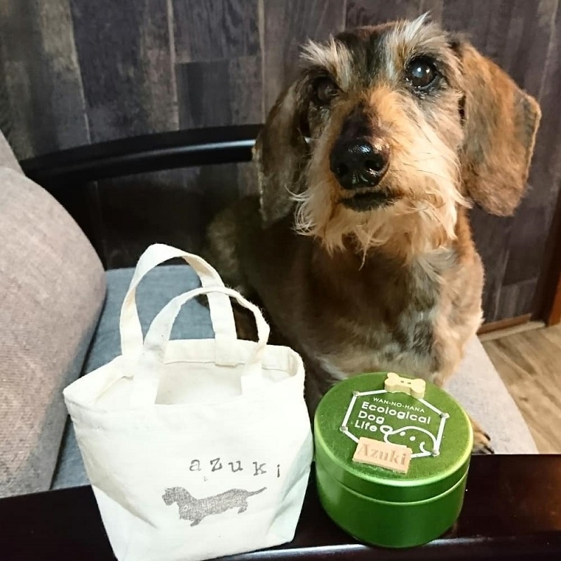 わんのはな おやつカプセルピッコロ ピンク