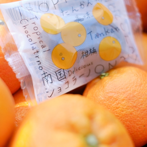 南国ショコラーノ』（6個入）TROPICAL CHOCORATRNO | 果鈴オリジナル