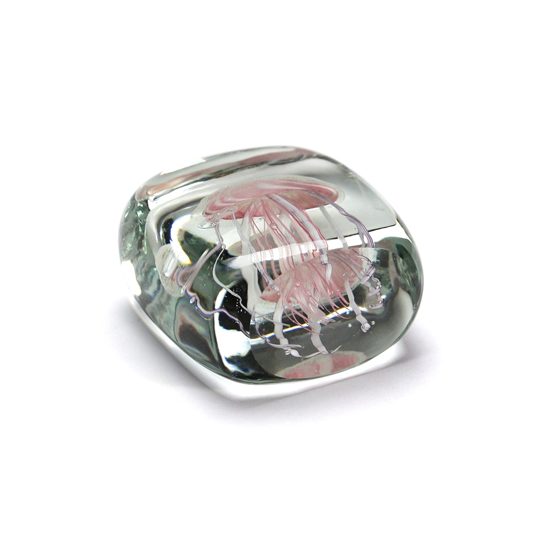 ジェリーフィッシュ ツイストレッグ 