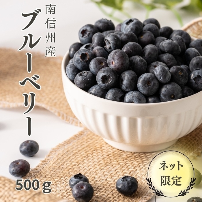 S010 ブルーベリー 500g(100g×5パック) 3L（大粒）【冷蔵】 6月下旬