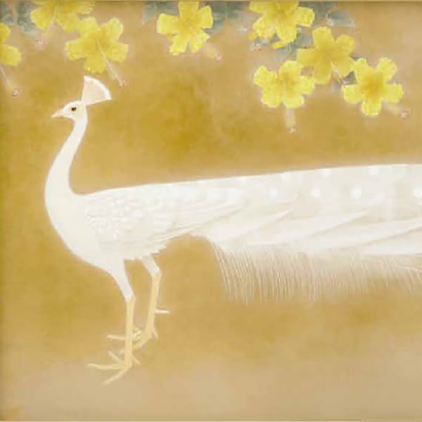 上村松篁 「白孔雀」＜額装＞｜エンディショップ【公式通販】