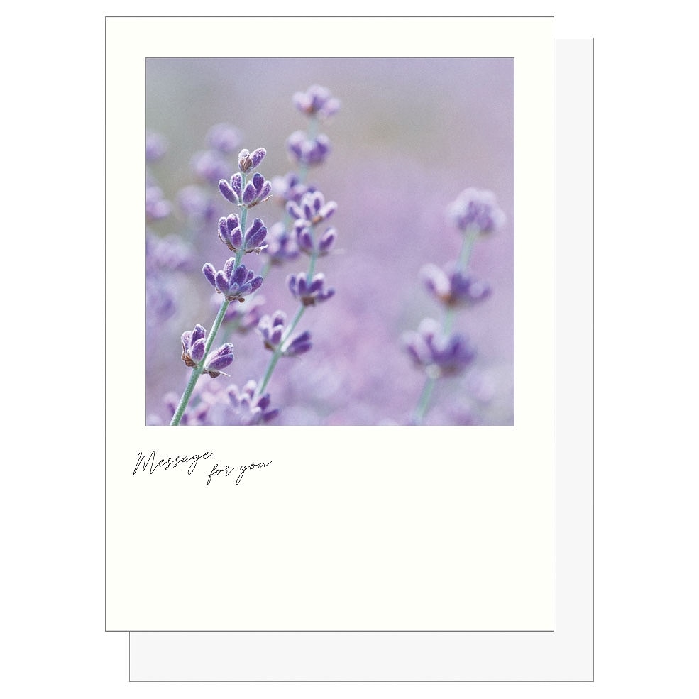 シアーポストカード ＃ラベンダーの香り | ステーショナリー,ポスト