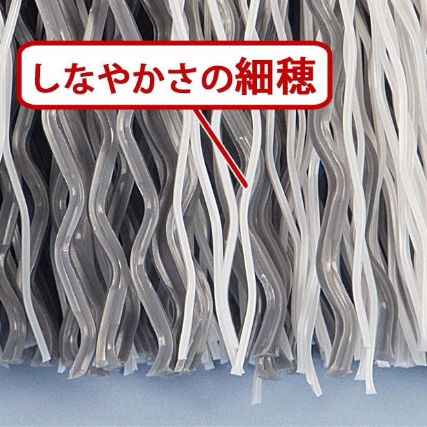 4_000000000048.jpg?1718936766