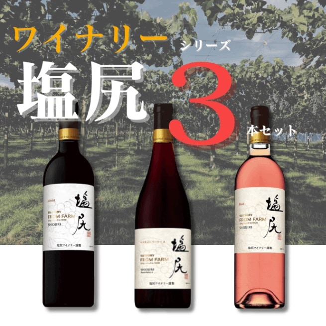 送料無料》ワイナリーシリーズ 塩尻ワインアソート3本セット（750ml×3