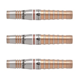 【新品未使用送料込み】TRINIDAD ROMAN Type4 ダーツ＆カード トリニダード Roman Type4 ローマン4 スティール21.5g 宮脇実由選手