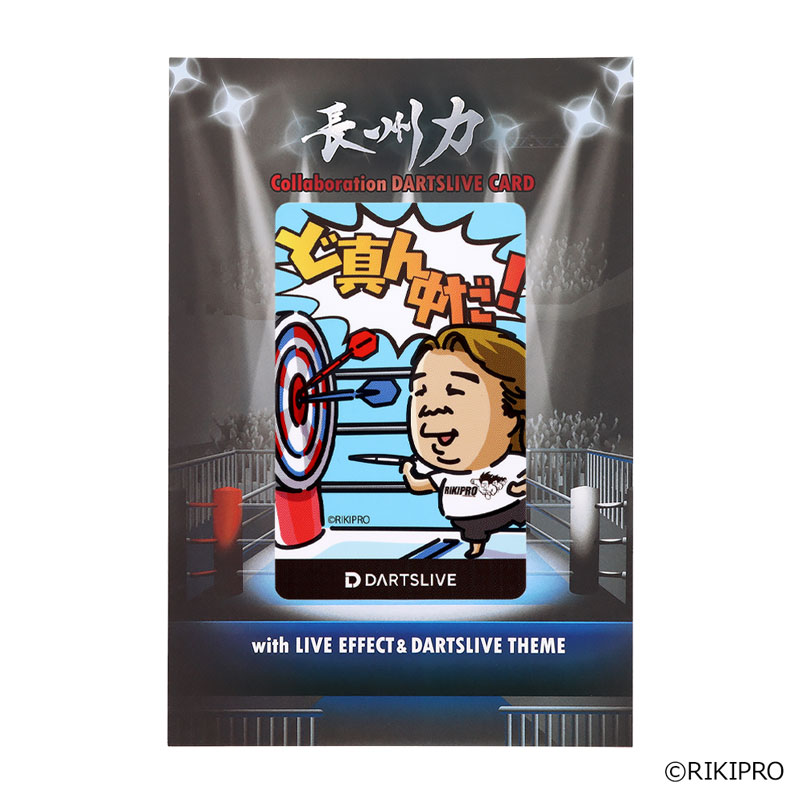 北斗の拳 DARTSLIVEカード ダーツライブカード Special Pack 北斗が如く フライト・テーマ付