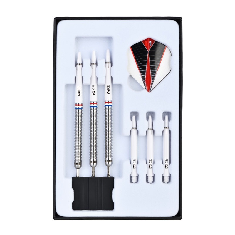 ファルキドンミイロタテハ（フルニエラ）♂2パターンセット ファル