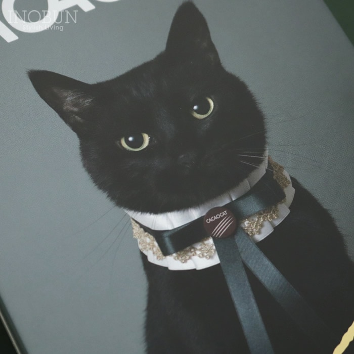 CACAOCAT 缶 14個入り CAT チョコレート DADACA プレミアム ねこ