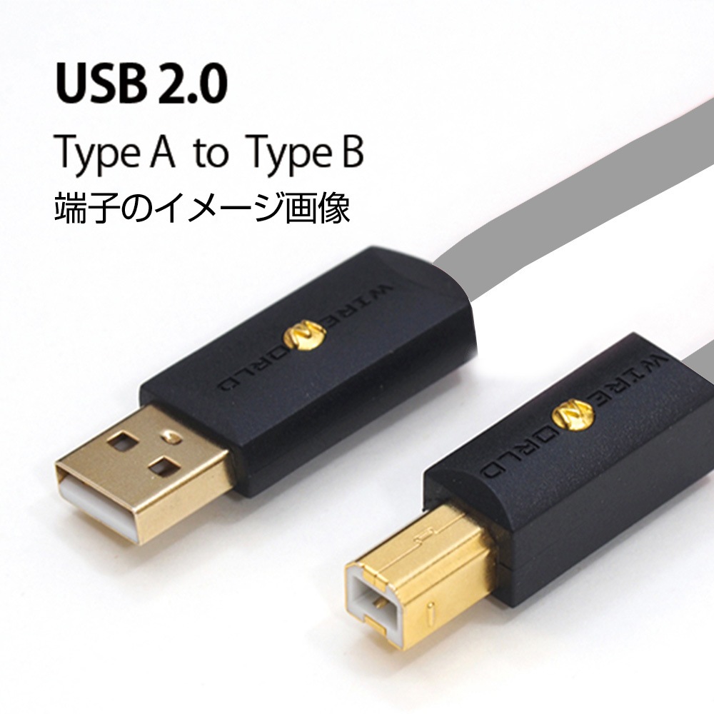 WIREWORLD - S2AB/3.0m（USB2.0ケーブル・A-B）＜Starlight 8＞《e