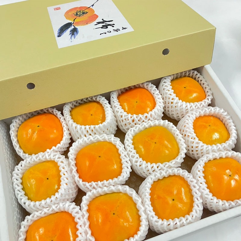 王隠堂農園のたねなし柿(送料無料)＜ギフト＞