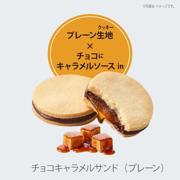 森のスイーツ工房セレクト（5個入）SS08-25D 【ファクトリーシン公式