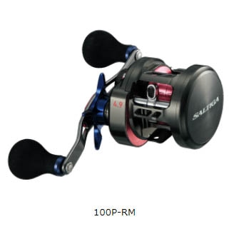 ダイワ 17ソルティガ BJ100P-RM/BJ100PL-RM通販｜釣具通販 いのまた釣具店