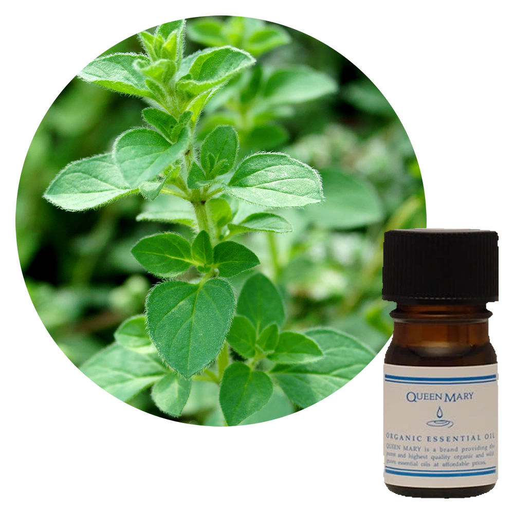 クイーンメリー】マジョラムスイート｜エッセンシャルオイル（精油