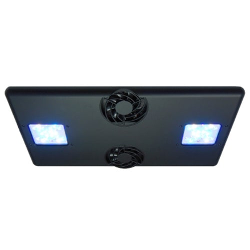 ボルクスジャパン グラッシーコア X200 リーフ (SPS model) マリン