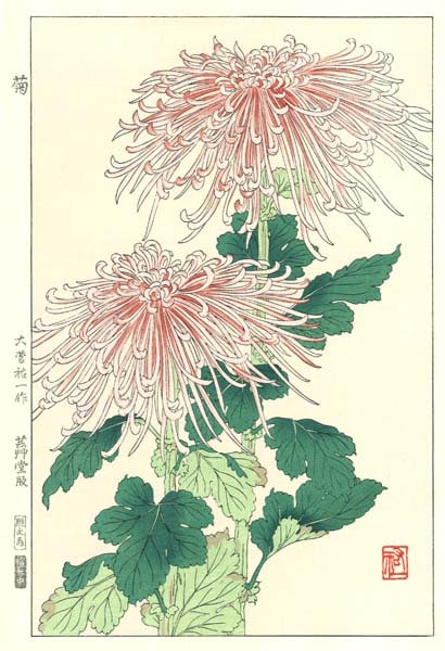 木版画のことなら『木版画 版元 芸艸堂 Woodblock print』
