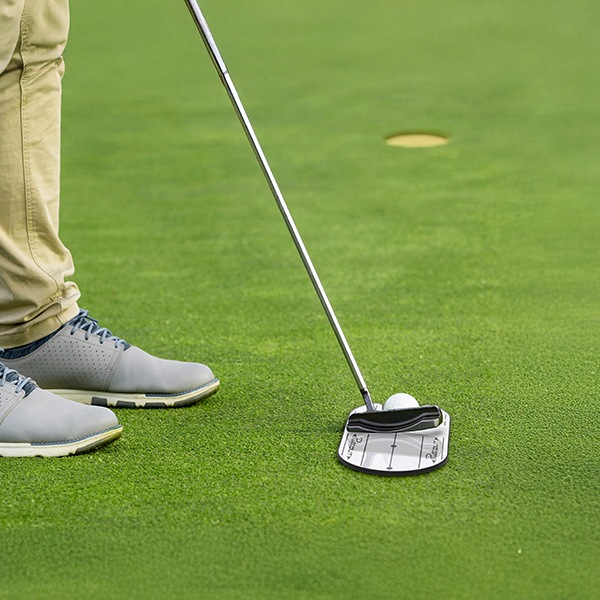 10_000000016879.jpg?1727768153