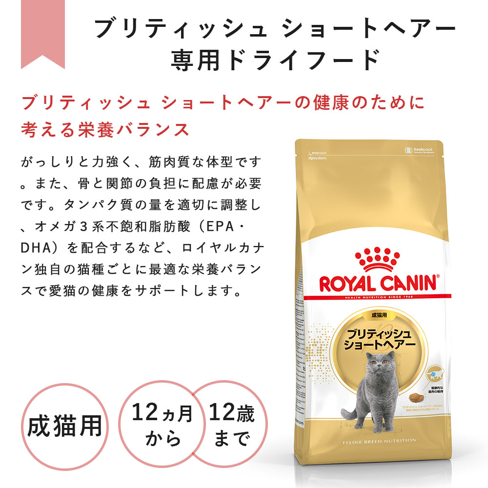 ロイヤルカナン ブリティッシュショートヘアー 2kg 成猫用 生後12カ月
