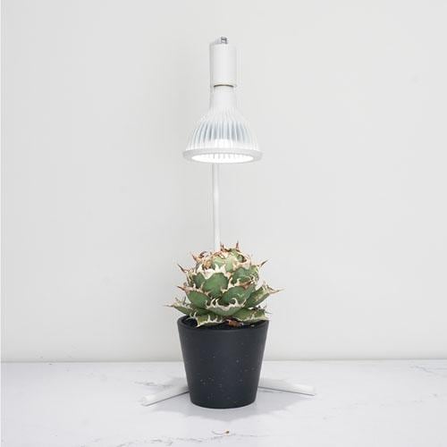 Akond(アコン) フロアーランプスタンド 74cm ブラック/ホワイト BARREL