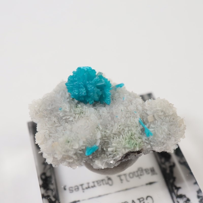 インド産 カバンサイト | 鉱物標本,カ行,カバンサイト/カバンシ石