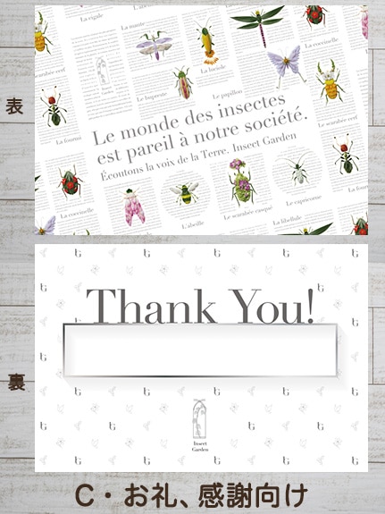 文字入れ可】選べるメッセージカード・バースデーカード Insect Garden