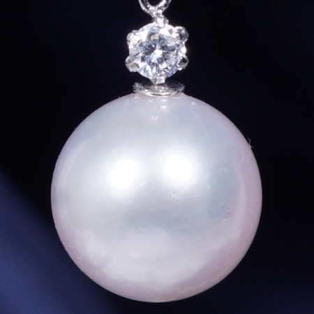 4_000000000395.jpg?1704442197