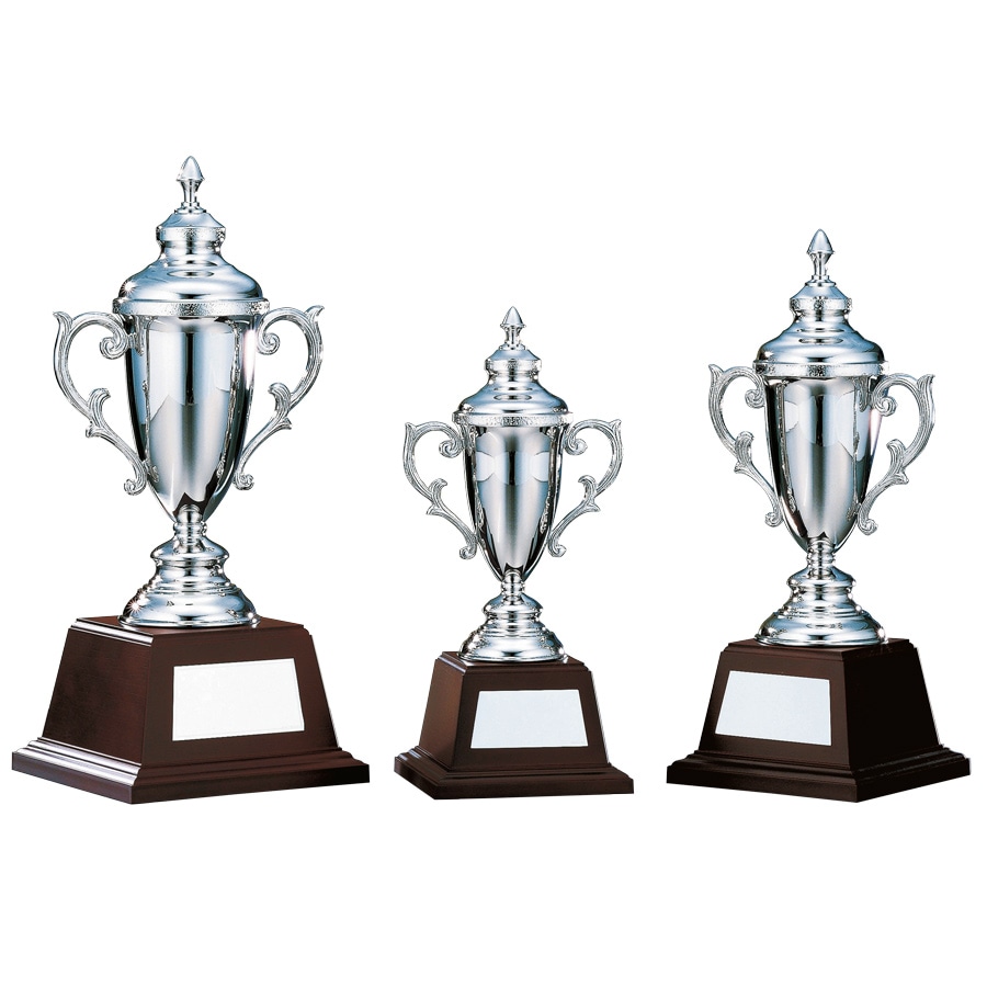 シルバーカップ JP-NO-4203 | シルバーカップ | トロフィー・優勝