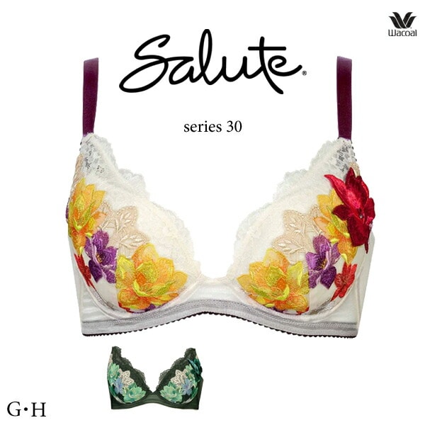 ワコール サルート 30G ブラジャー BTJ230 フルカップブラ 小さく