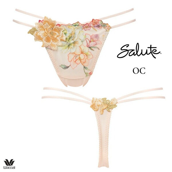 ワコール サルート 21G ショーツ PTJ421 M・L ソング Tバック
