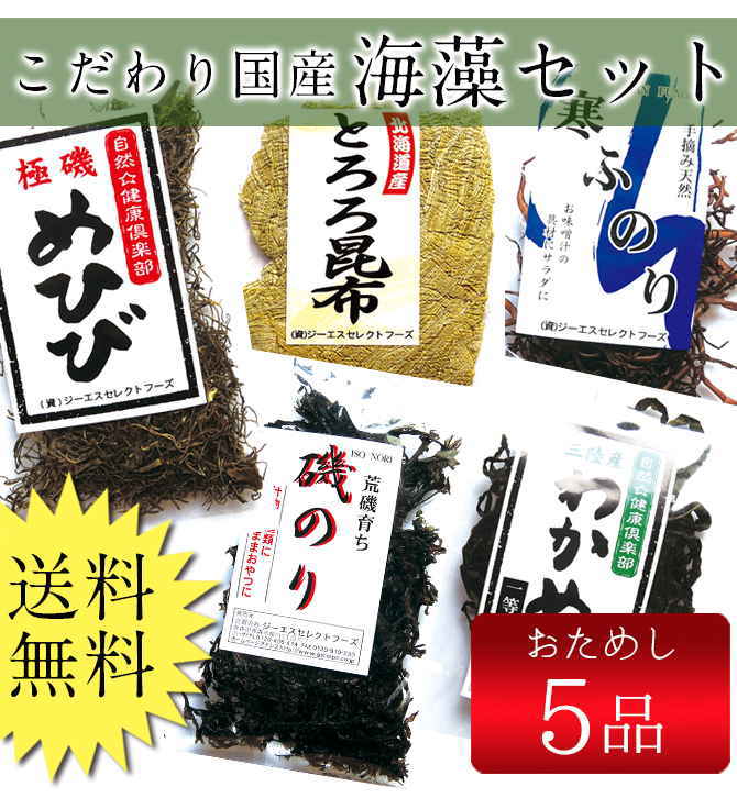 お試し海藻セット_人気海藻5品 めひび 三陸わかめ ふのり とろろ昆布