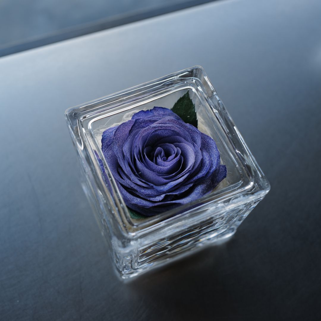 ドライフラワー紫のバラ イングラス | スタイルから探す,イングラス