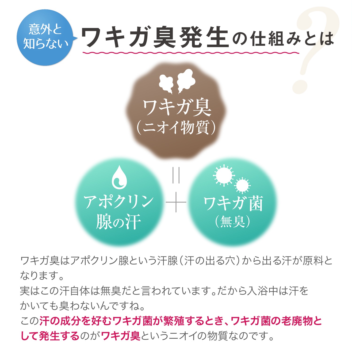 定期購入商品】衣類用抗菌消臭剤ヌーラビオ（2本セット）お届け日設定