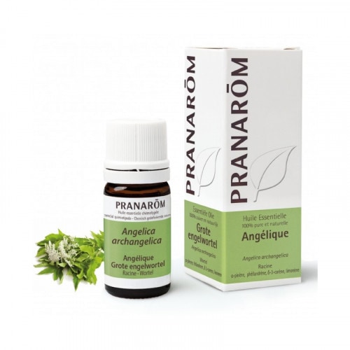 PRANAROM ヘリクリサム(イモーテル) 5ml プラナロム 精油 Ⅰ 5ml
